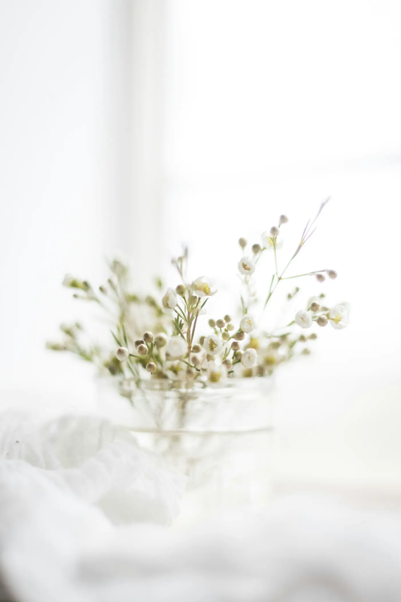 Small wild flowers in a jar, in the window light